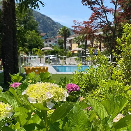 Regina E Oriente Бавено