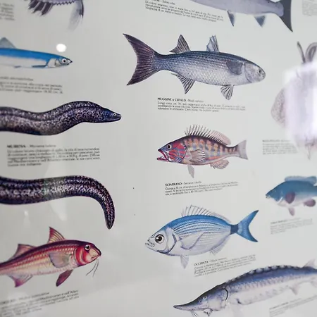 Regina E Oriente Апартаменты *