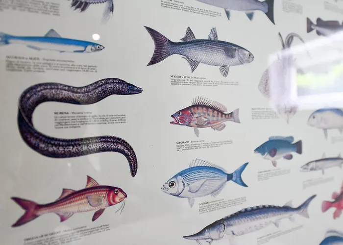 Regina E Oriente Апартаменты *